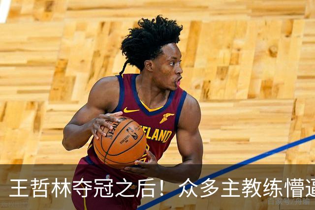 王哲林夺冠之后！众多主教练懵逼，就这个数据跟胡金秋差远了